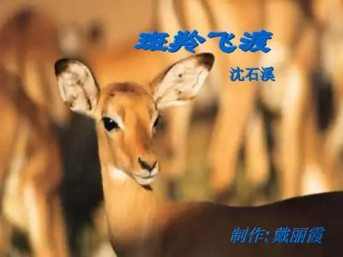 斑羚飞渡(3)优秀PPT课件