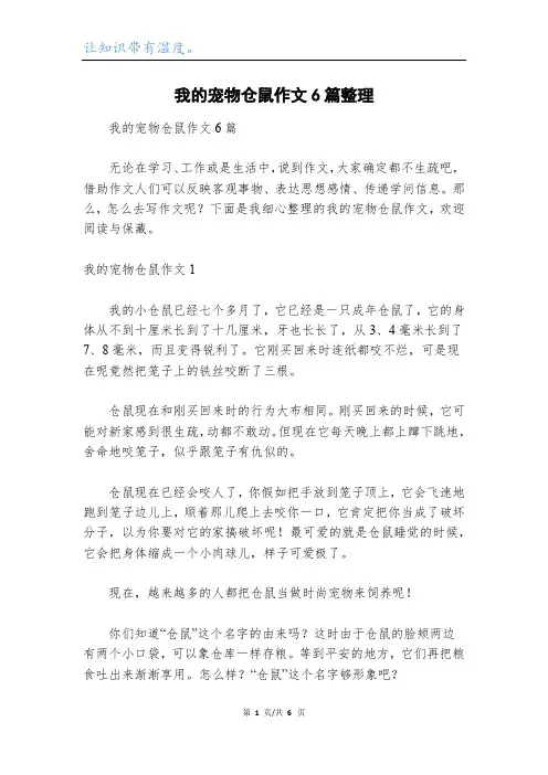我的宠物仓鼠作文6篇整理