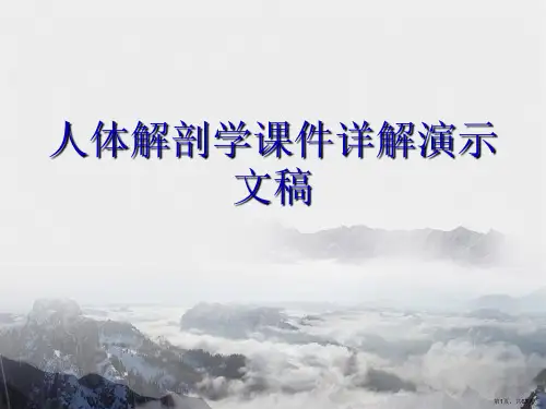人体解剖学课件详解演示文稿