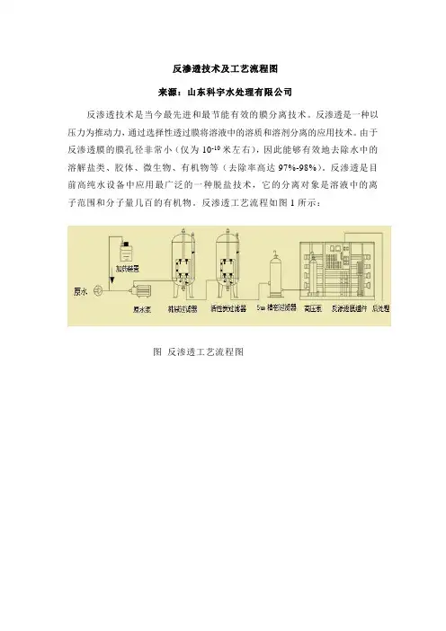 反渗透技术及工艺流程图