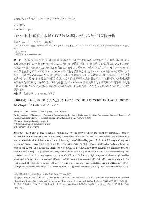 两种不同化感潜力水稻CYP73A38基因及其启动子的克隆分析