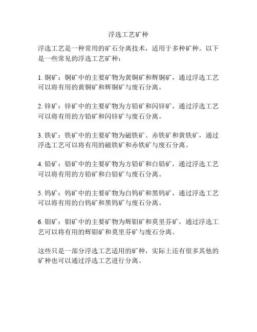 浮选工艺矿种