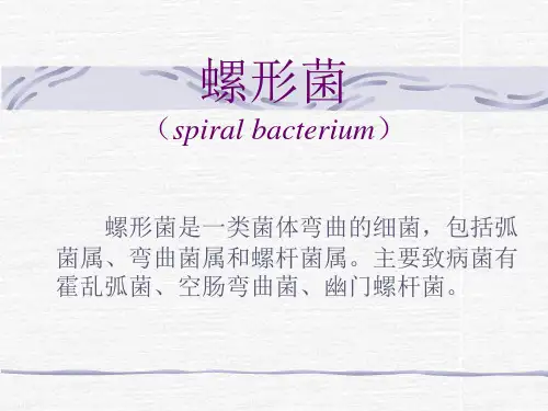 第八章 螺形菌