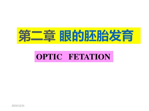 眼的胚胎发育ppt课件