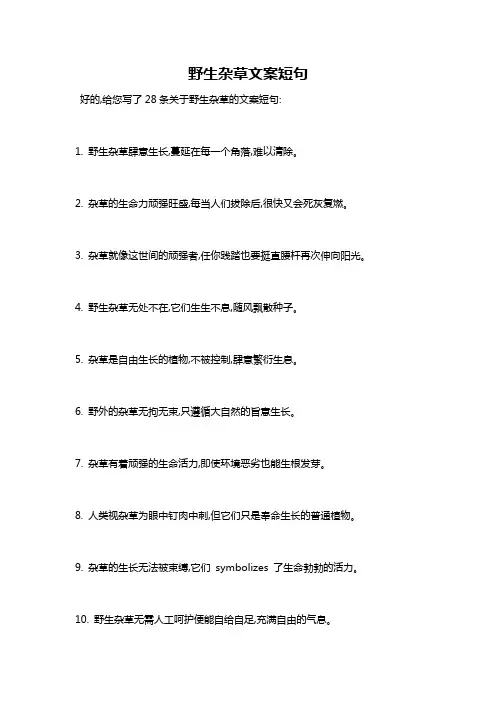 野生杂草文案短句