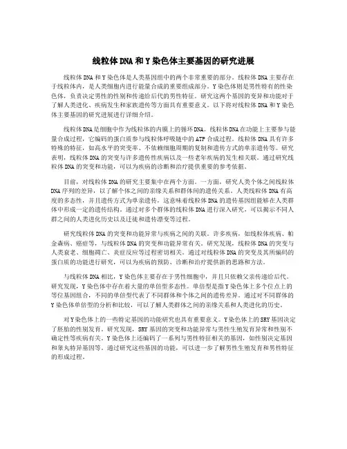 线粒体DNA和Y染色体主要基因的研究进展