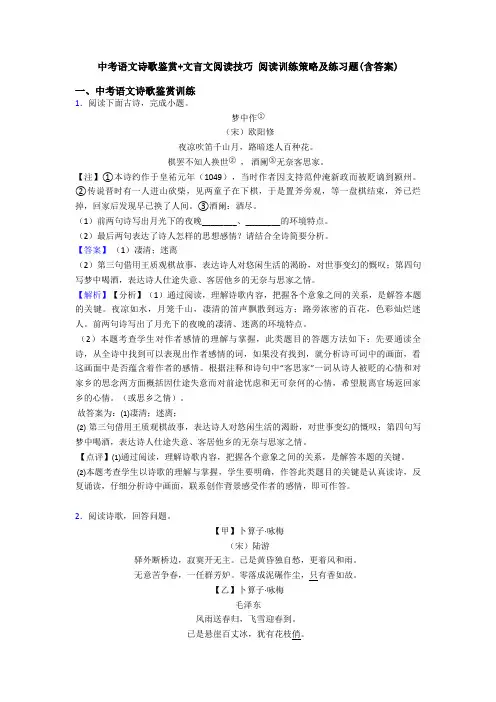 中考语文诗歌鉴赏+文言文阅读技巧 阅读训练策略及练习题(含答案)