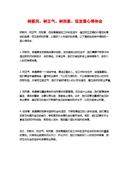树新风、树正气、树形象、促发展心得体会