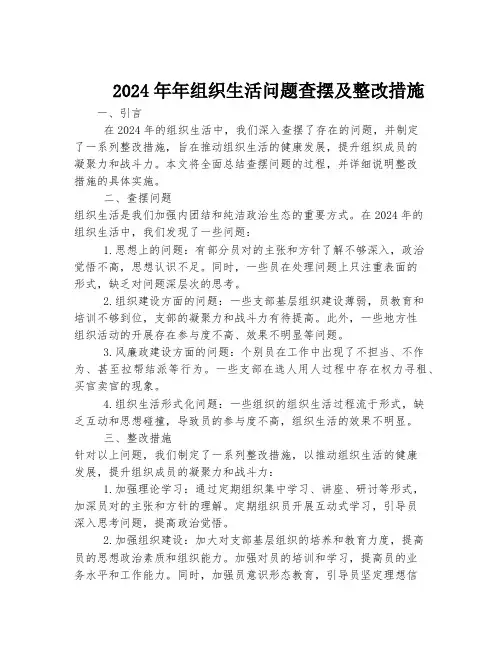 2024年年组织生活问题查摆及整改措施
