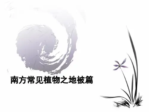 南方园林植物及园林运用