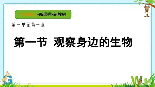 1.1.1观察周边环境中的生物+课件2024-2025学年人教版生物七年级上册