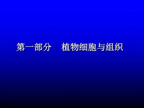 植物细胞与组织 PPT课件 人教课标版