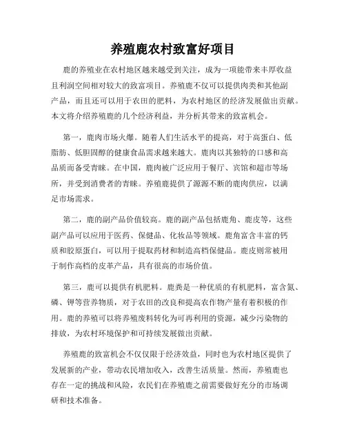 养殖鹿农村致富好项目