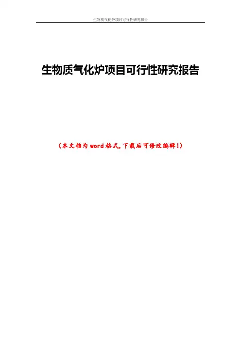 生物质气化炉项目可行性研究报告