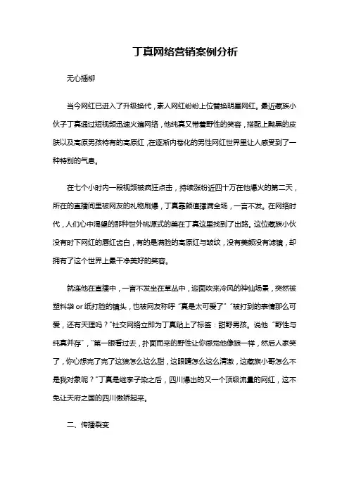 丁真网络营销案例分析
