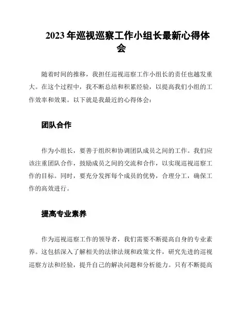 2023年巡视巡察工作小组长最新心得体会