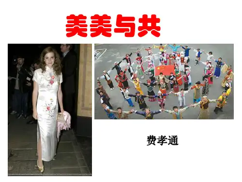 《美美与共》ppt6