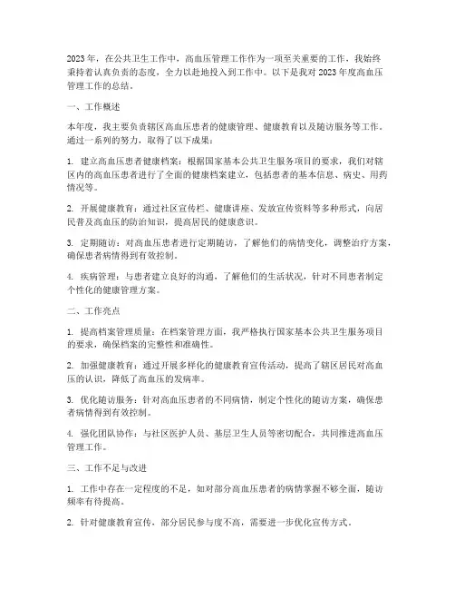 公卫高血压个人工作总结