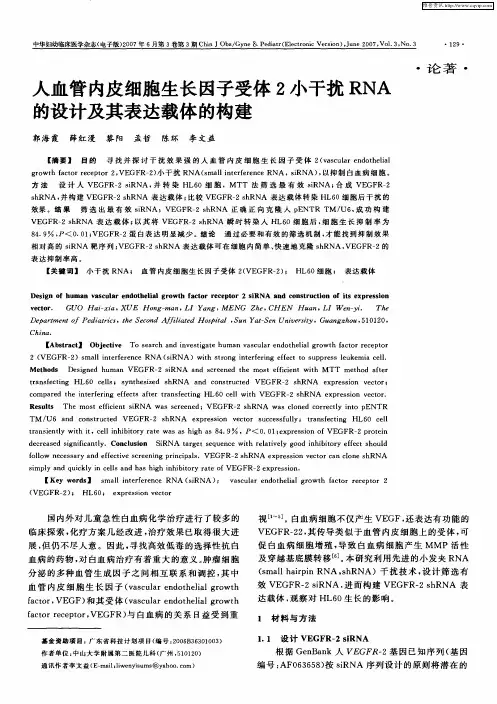 人血管内皮细胞生长因子受体2小干扰RNA的设计及其表达载体的构建