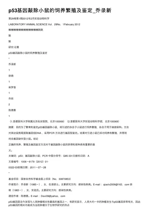 p53基因敲除小鼠的饲养繁殖及鉴定_乔录新