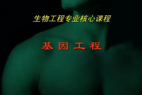 基因工程的基本概念