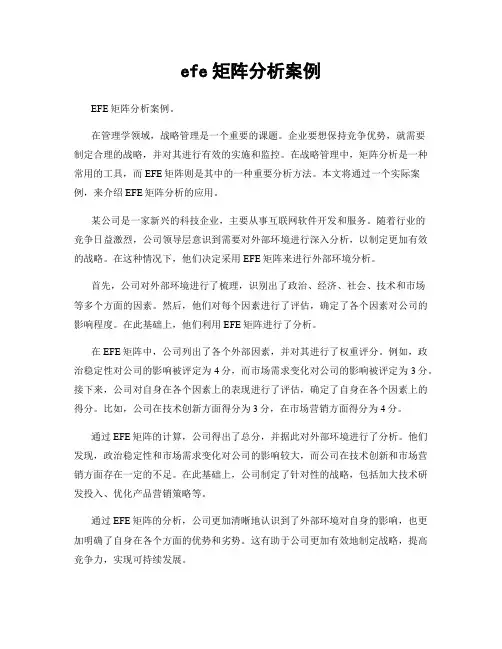 efe矩阵分析案例