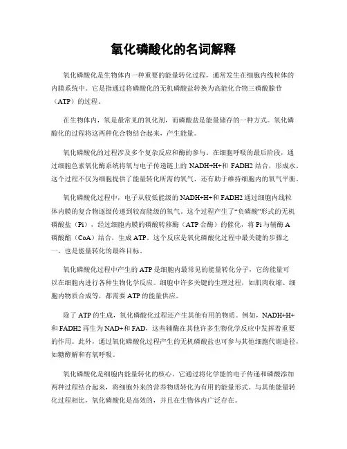 氧化磷酸化的名词解释