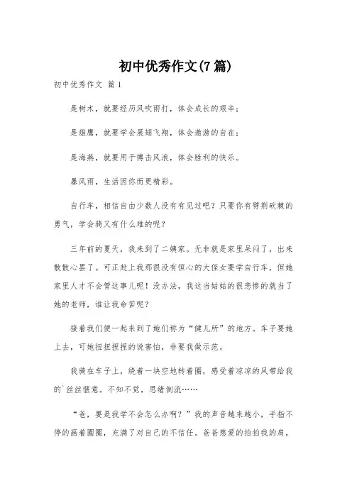 初中优秀作文(7篇)
