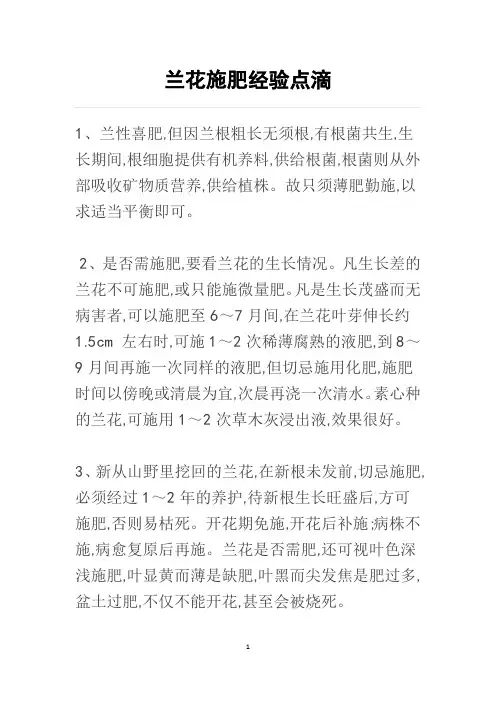 兰花施肥经验点滴