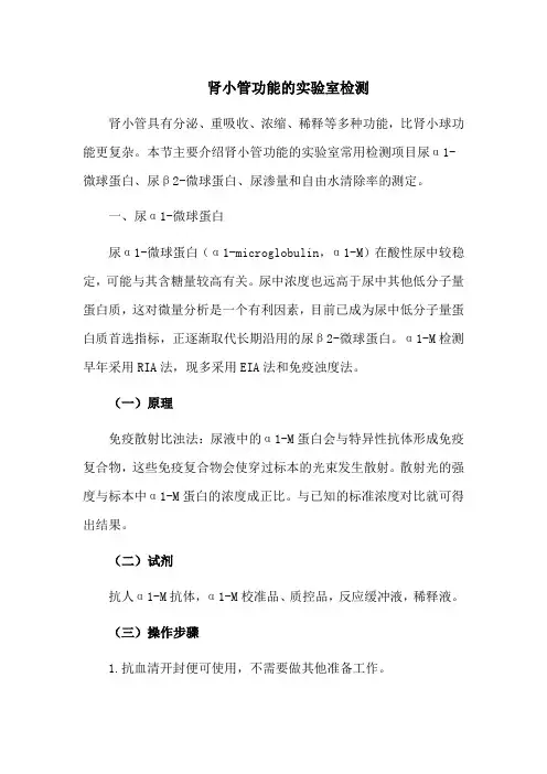 肾小管功能的实验室检测