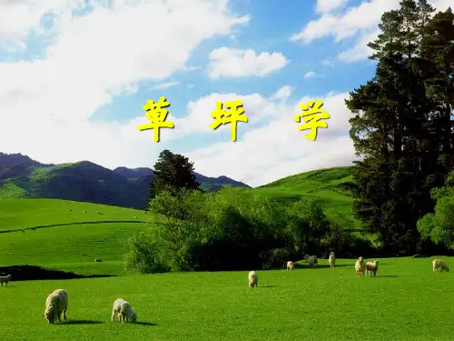 01-第一章-草坪学