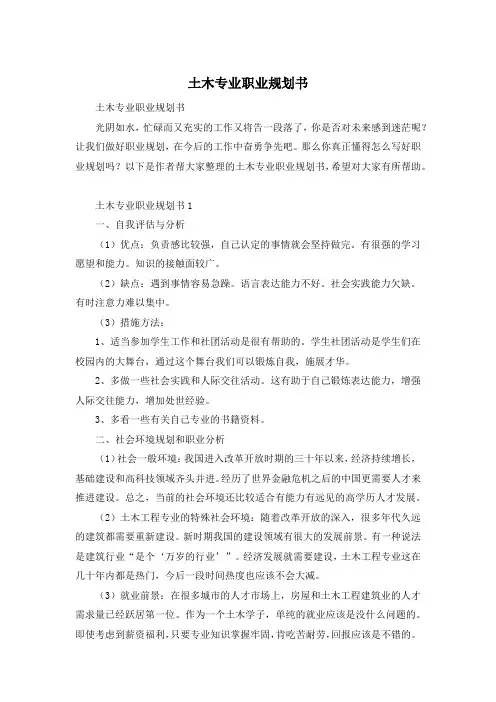 土木专业职业规划书