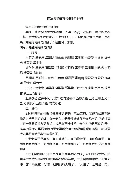 描写贝壳的好词好句好段