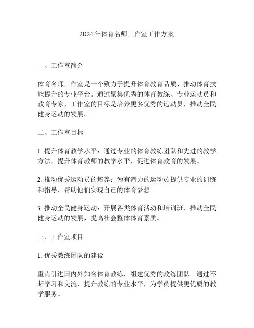 2024年体育名师工作室工作方案