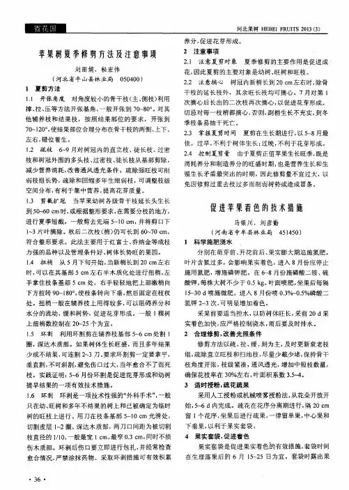 苹果树夏季修剪方法及注意事项
