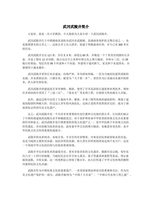 武冈武陵井简介