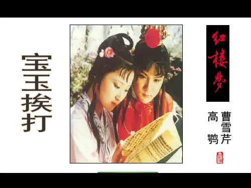 《宝玉挨打》ppt课件
