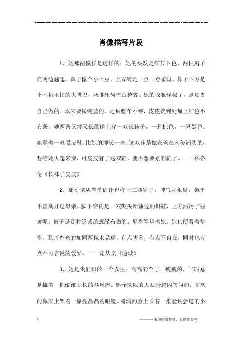 肖像描写片段