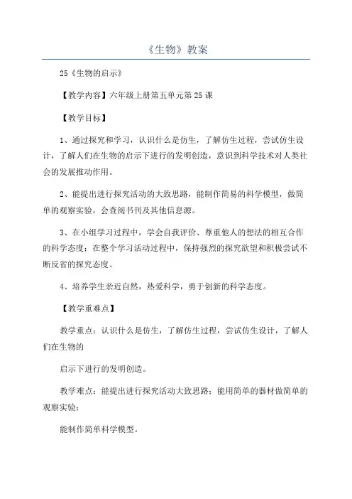 《生物》教案