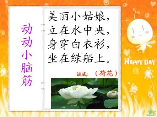 人教版语文三年级下册3《荷花》PPT