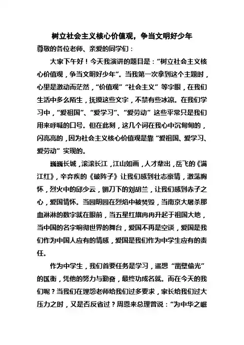 树立社会主义核心价值观,争当文明好少年