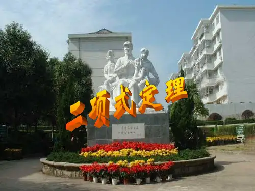 二项式定理3