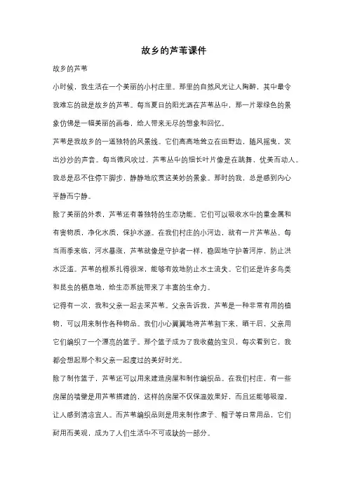 故乡的芦苇课件