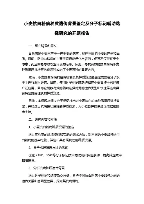 小麦抗白粉病种质遗传背景鉴定及分子标记辅助选择研究的开题报告