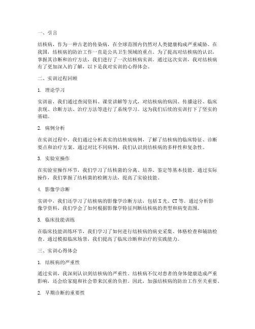 结核病实训报告心得体会