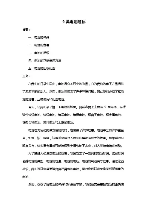 9类电池危标