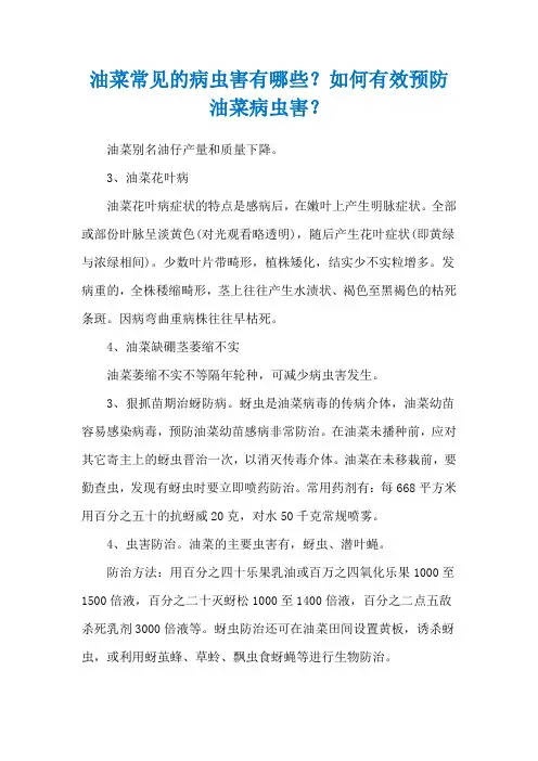油菜常见的病虫害有哪些？如何有效预防油菜病虫害？