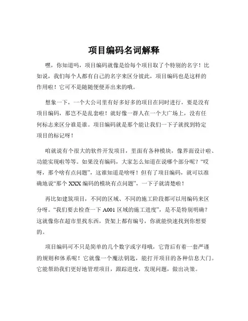 项目编码名词解释