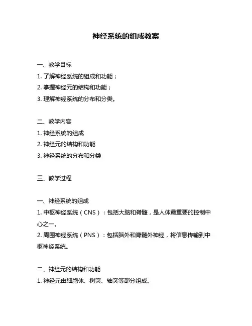 神经系统的组成教案