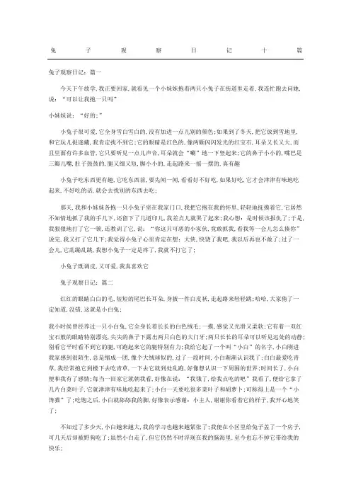 兔子观察日记随记十篇